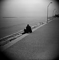 Picture Title - Mare
