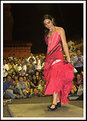 Picture Title - flamenco