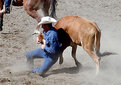 Picture Title - Steer Wrestling