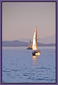 Picture Title - Sailing at Sunset