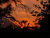 Wedding Day Sunset