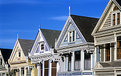 Picture Title - Painted Ladies
