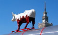 Picture Title - cowparade in Warsaw