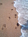 Picture Title - The sea, the sand, my footprints..