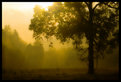 Picture Title - Cataloochee Morning