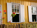 Picture Title - Windows in a yellow house and flowers