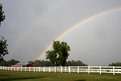 Picture Title - My Pot of Gold