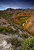 Rainbow Gulley II