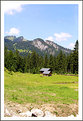 Picture Title - Austrian landscape 06