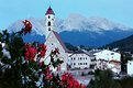 Picture Title - Nova Ponente behind the geranium