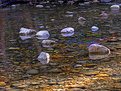 Picture Title - River Rocks