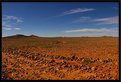 Picture Title - outback
