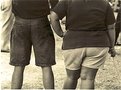 Picture Title - Obesity: Universal health problem