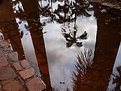 Picture Title - Reflections in an old way
