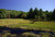 Algonquin beaver pond