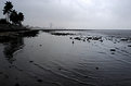 Picture Title - Rainy Day in Maputo