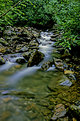 Picture Title - the brook