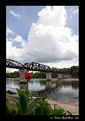 Picture Title - Bridge over the River Kwai