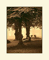 Picture Title - Glienicke park