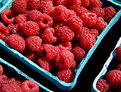 Picture Title - Raspberries