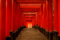 Picture Title - Tori walkway