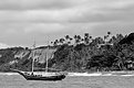 Picture Title - Praia do Espelho