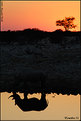 Picture Title - African sunset