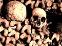 Picture Title - Catacombes