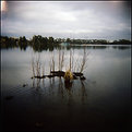 Picture Title - Lake Rotoroa 2