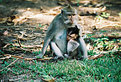Picture Title - Mother and child