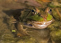 Picture Title - Food on my Face?