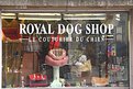 Picture Title - Royal dog shop