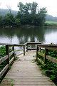 Picture Title - The Pathway