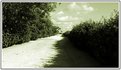 Picture Title - Ahead