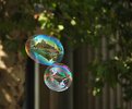 Picture Title - Life in a Bubble..