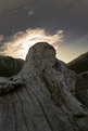 Picture Title - driftwood volcano