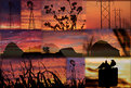 Picture Title - Sunset Roundup