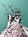 Picture Title - Variations on a Dead Tree