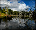 Picture Title - Northern Beaver Pond