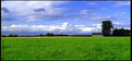 Picture Title - Nisqually barn