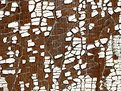 Picture Title - Paint