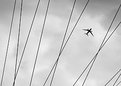 Picture Title - Air-Lines