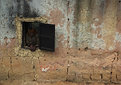 Picture Title - Looking out