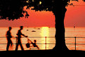 Picture Title - Family