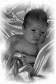 Picture Title - newborn