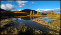 Picture Title - Suprise Lake Yukon