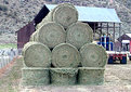 Picture Title - Hay Stack