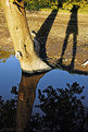 Picture Title - Shadows & Reflection