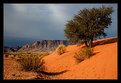 Picture Title - Red dunes of Pella