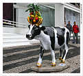 Picture Title - "Cow project"